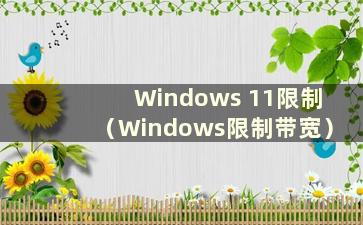 Windows 11限制（Windows限制带宽）